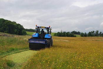 Yorkshire Dales hay time meadows project