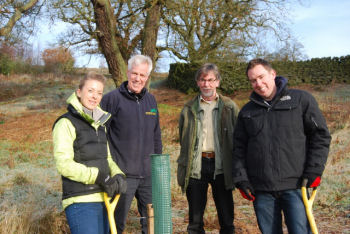 Yorkshire Dales woodland project