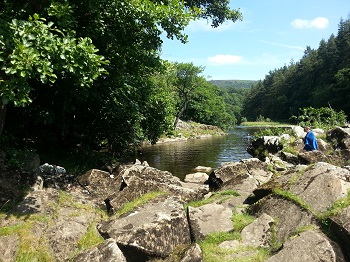 The River Wharfe at Appletreewick