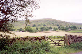 Drystone walls near Austwick, in the Yorkshire Dales