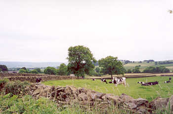 Austwick, in the Yorkshire Dales