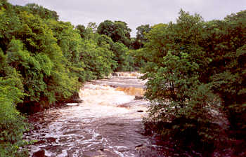 Aysgarth Falls in spate