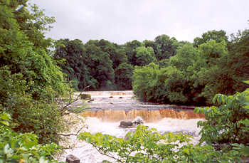 Aysgarth Falls in spate