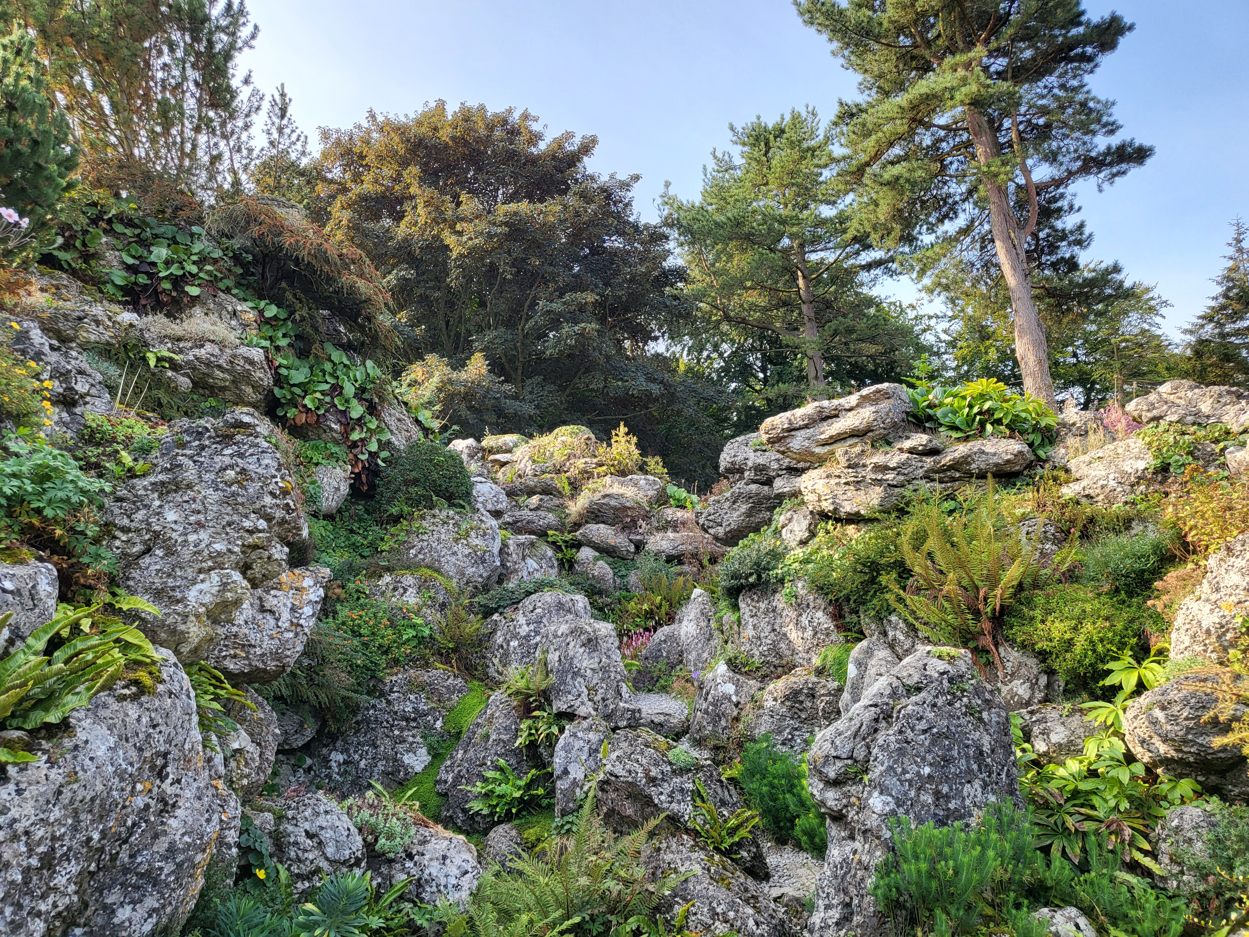 The Aysgarth rock garden