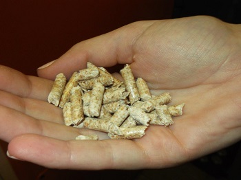 biomass pellets