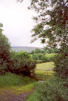 Bishopdale, a tributary valley of Wensleydale, in the Yorkshire Dales