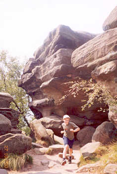 Brimham Rocks