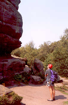 Brimham Rocks