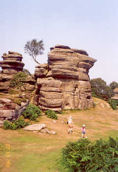 Brimham Rocks