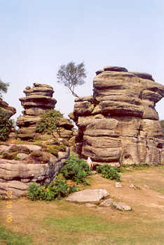 Brimham Rocks