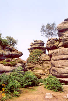 Brimham Rocks