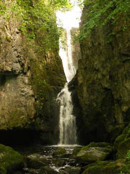 Catrigg Force