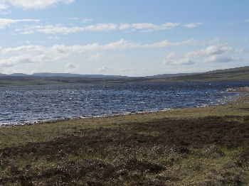 Cow Green Reservoir