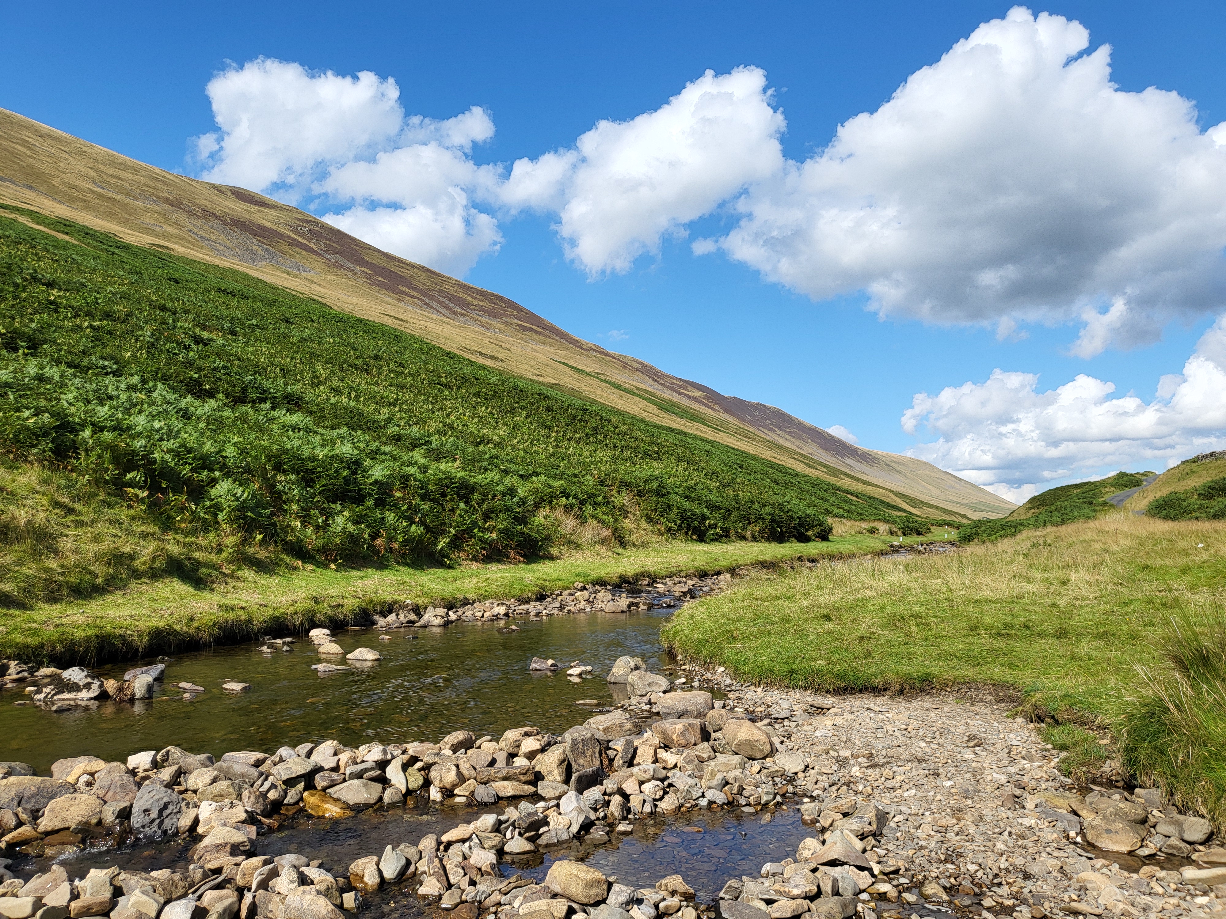 Dent fault in Barbondale