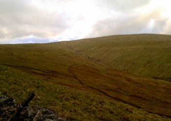 Dodd Fell