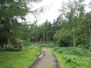 The Druids' Temple, near Masham in Wensleydale, in the Yorkshire Dales