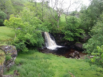 East Gill Force