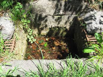 The Ebbing and Flowing Well, Giggleswick, near Settle, Yorkshire