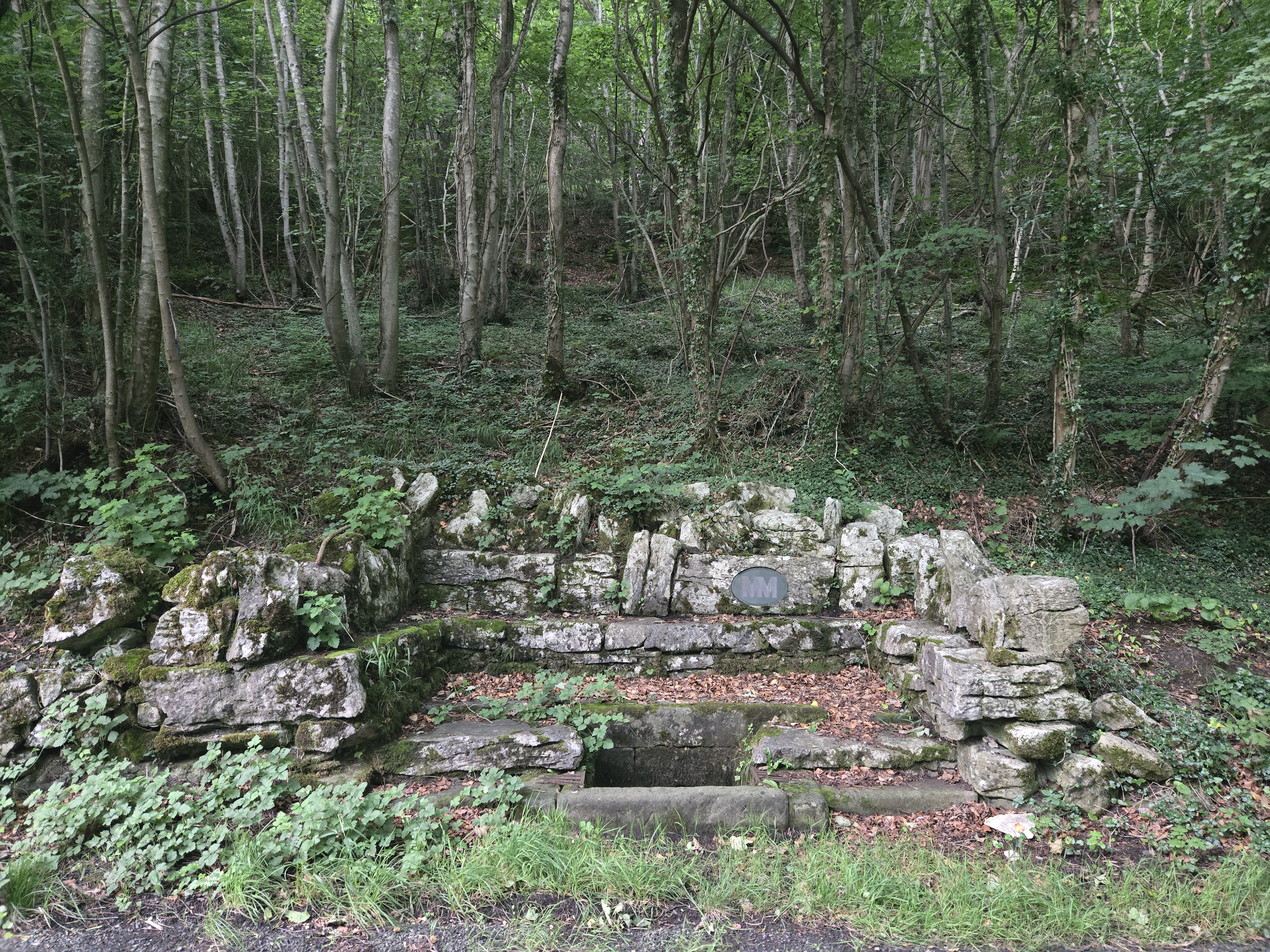 The Ebbing and Flowing Well, Giggleswick, near Settle, Yorkshire
