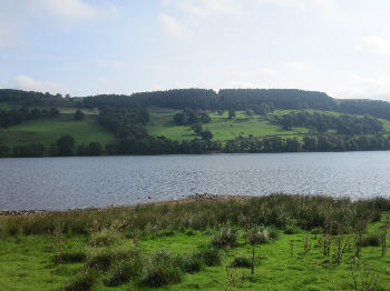 Gouthwaite reservoir, Nidderdale