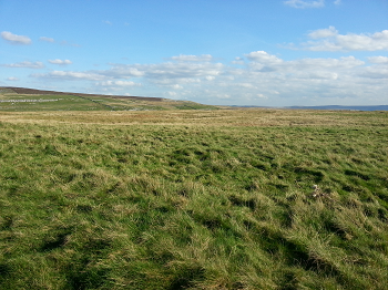 Grassington Moor