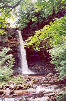 Hardraw Force