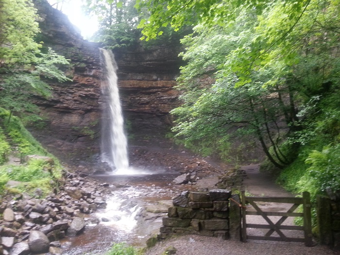 Hardraw Force