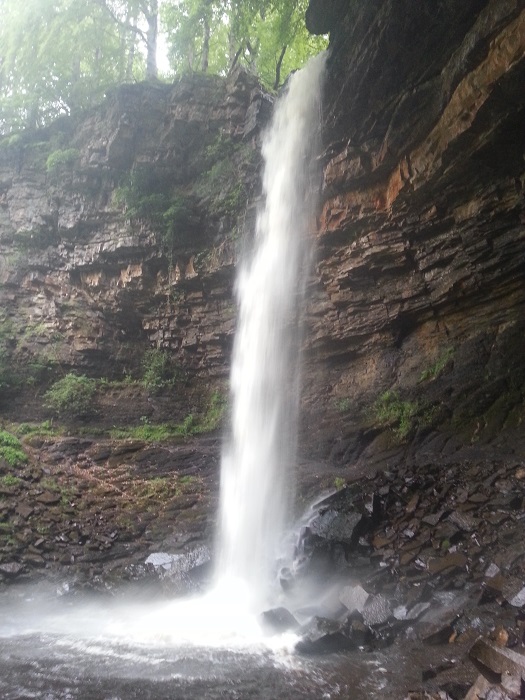 Hardraw Force