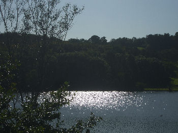 Harewood House