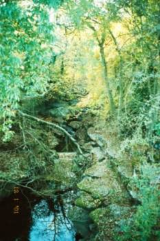 How Stean Gorge, in Upper Nidderdale