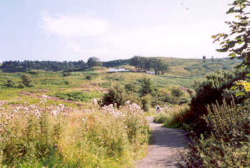 Ilkley Moor, Ilkley