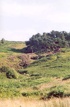 Ilkley Moor, Ilkley