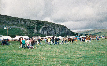 Kilnsey Show