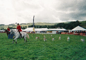 Kilnsey Show