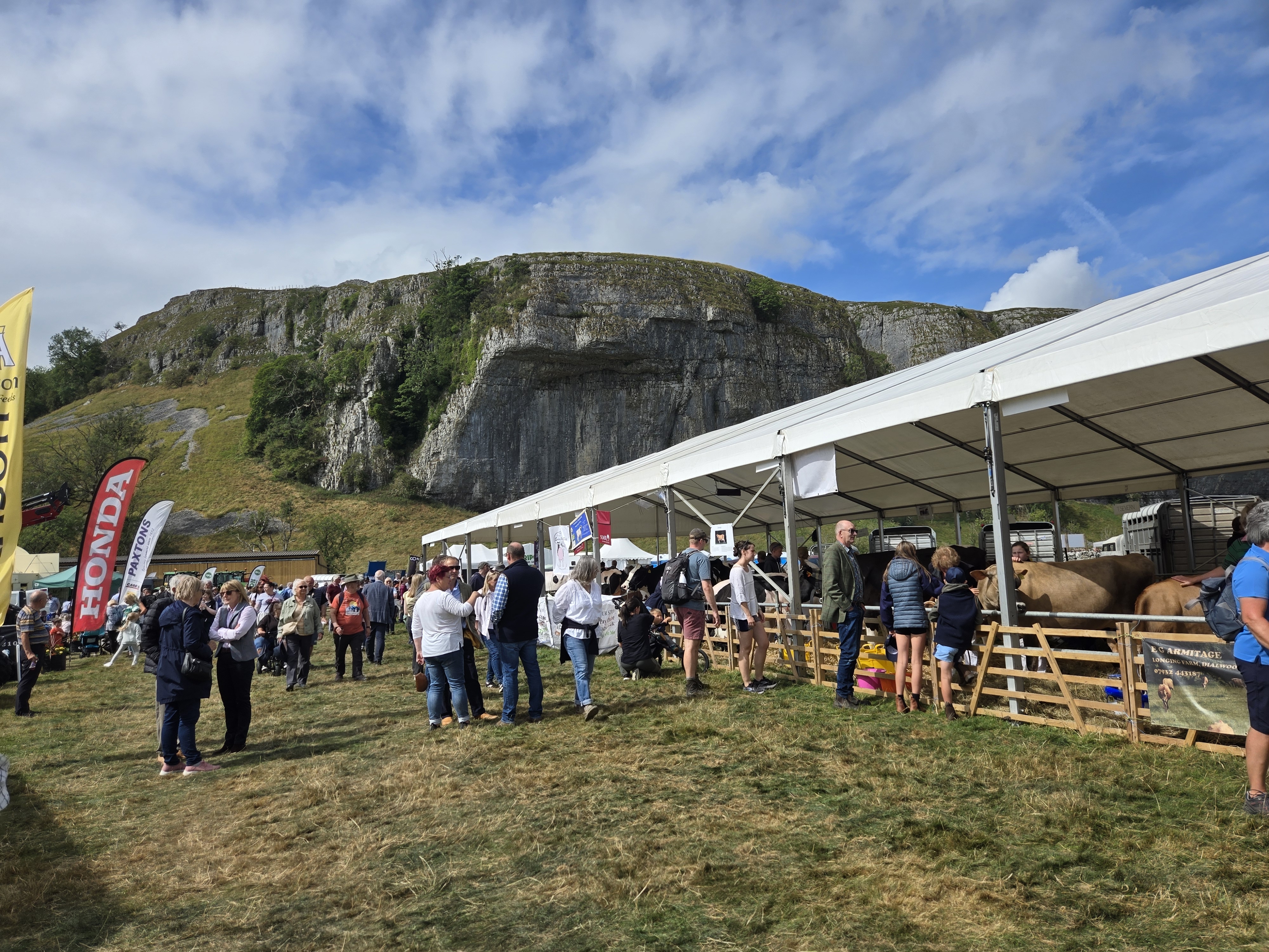 Marquee with animals at Kilnsey Show
