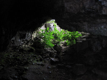 Kinsey Cave, Giggleswick Scar, Giggleswick, near Settle, Yorkshire