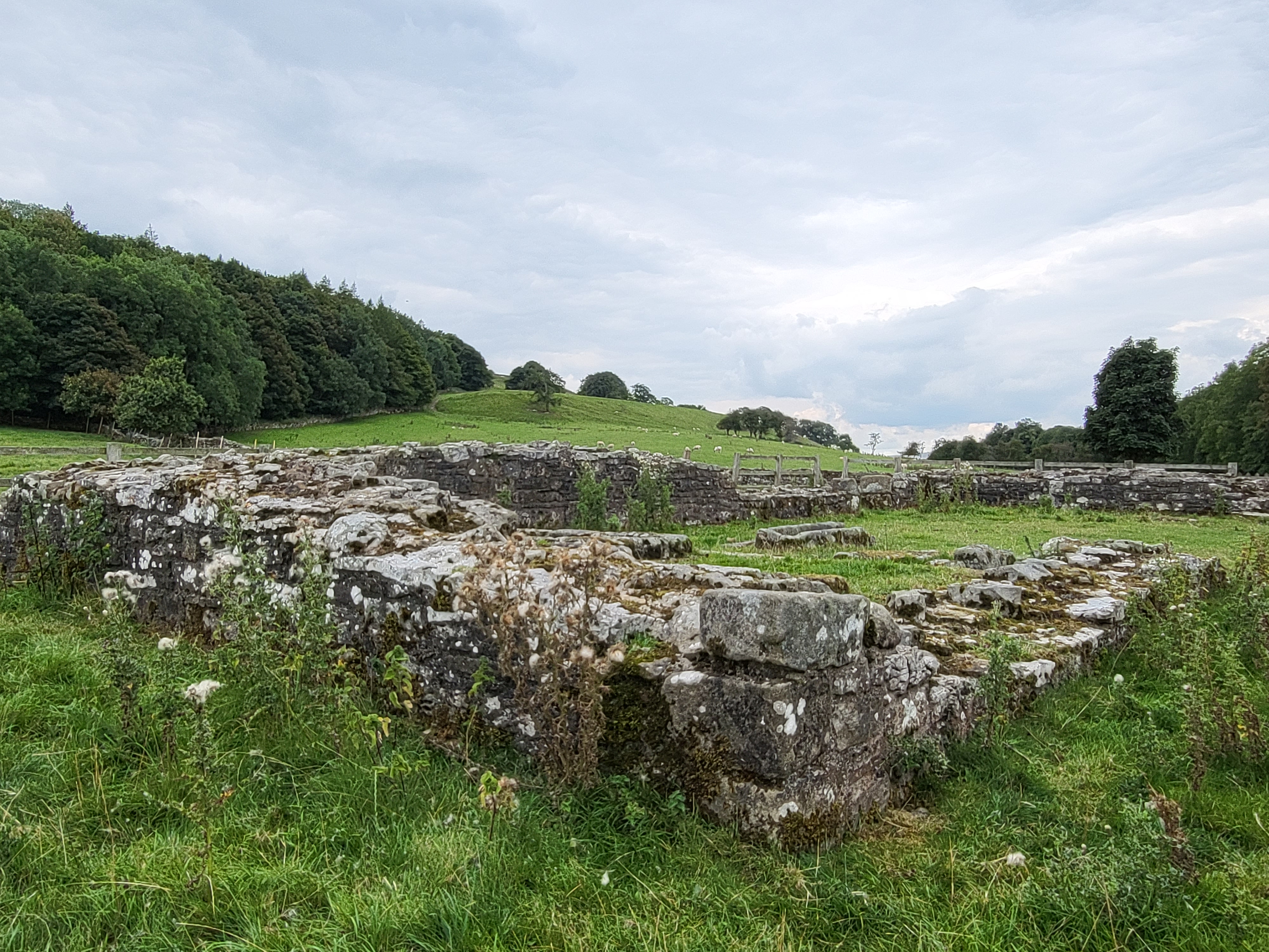 ruins of the Knights Preceptory near West Witton