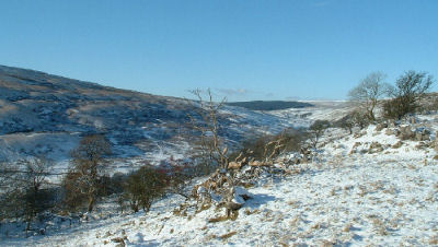 Langstrothdale in winter