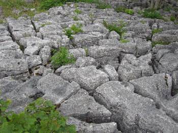 limestone pavement above Malham Cove