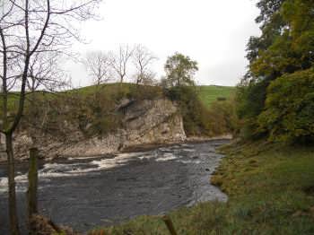 Loup Scar