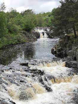 Low Force