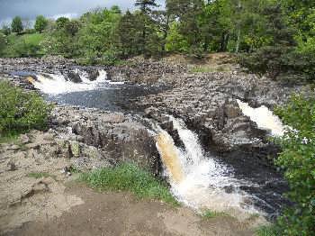 Low Force