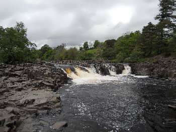 Low Force