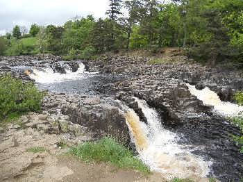 Low Force