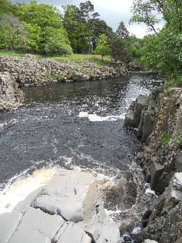 Low Force