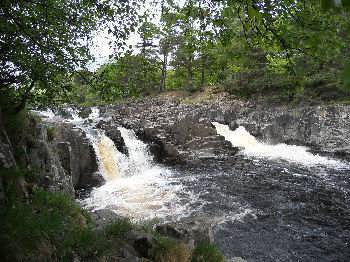 Low Force