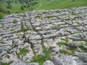 Limestone pavement above Malham Cove