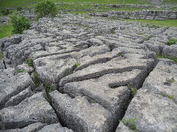 Limestone pavement above Malham Cove