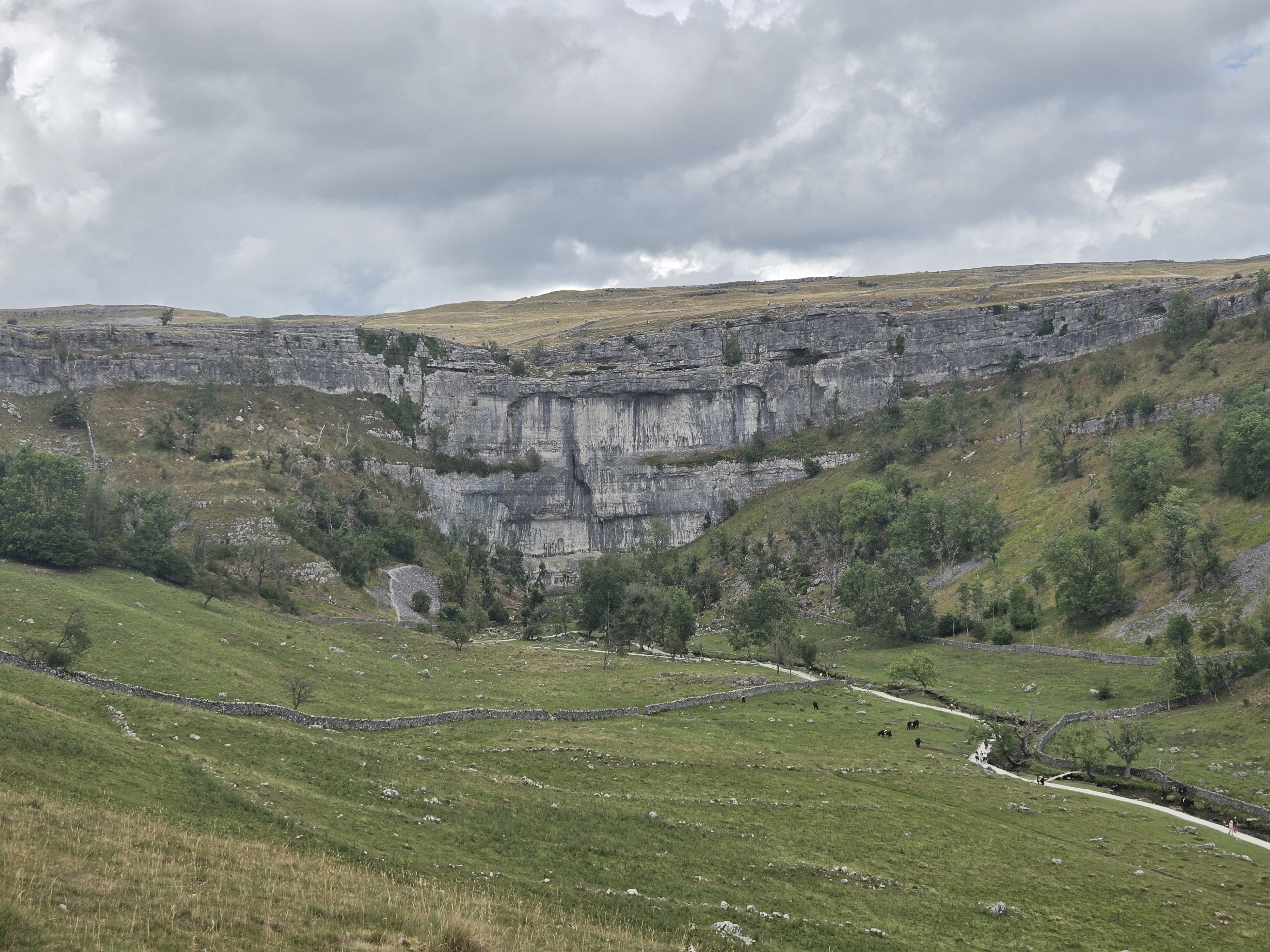 Limestone cliff