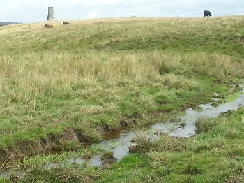 Stream near smelt Mill chimney on Malham Moor